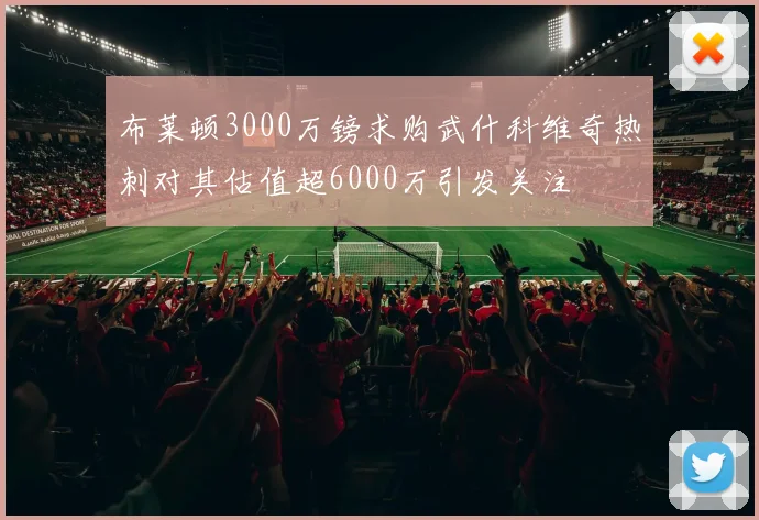 布莱顿3000万镑求购武什科维奇热刺对其估值超6000万引发关注