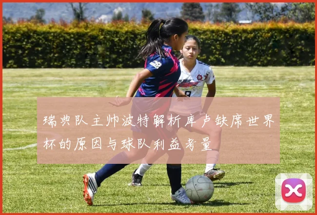 瑞典队主帅波特解析库卢缺席世界杯的原因与球队利益考量